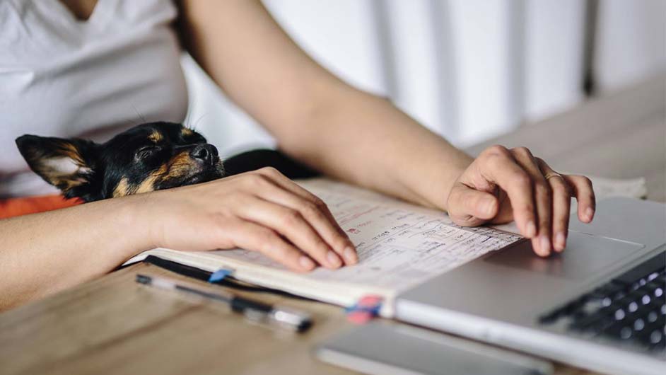 保育员简历怎么写