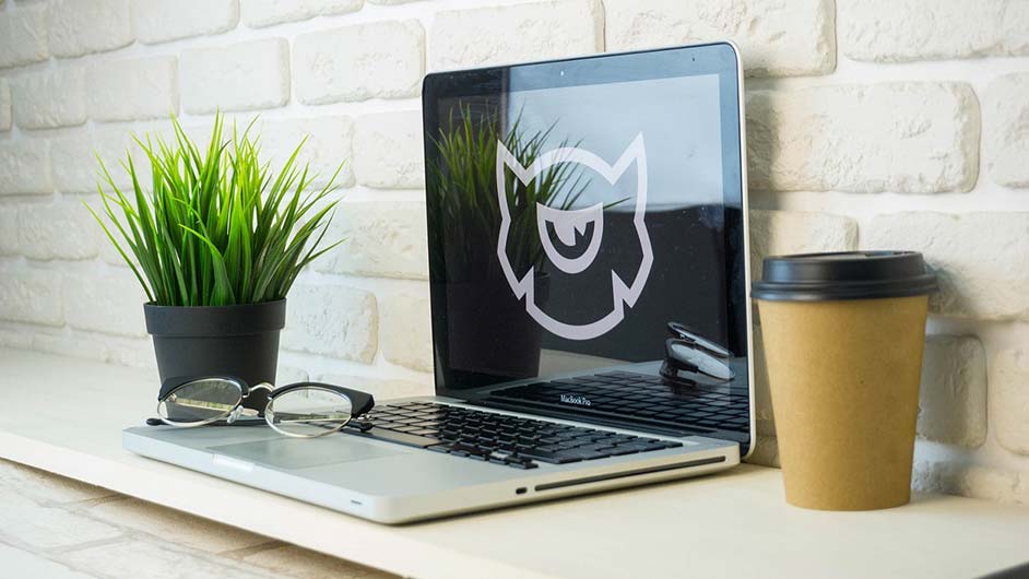 策划简历怎么写