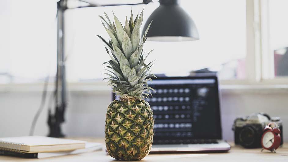 跟单文员简历怎么写