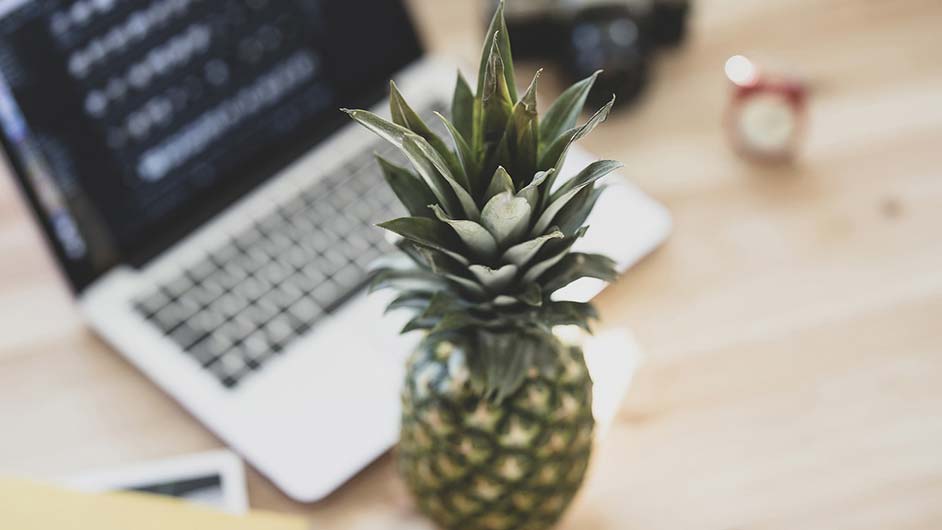 教师简历怎么写