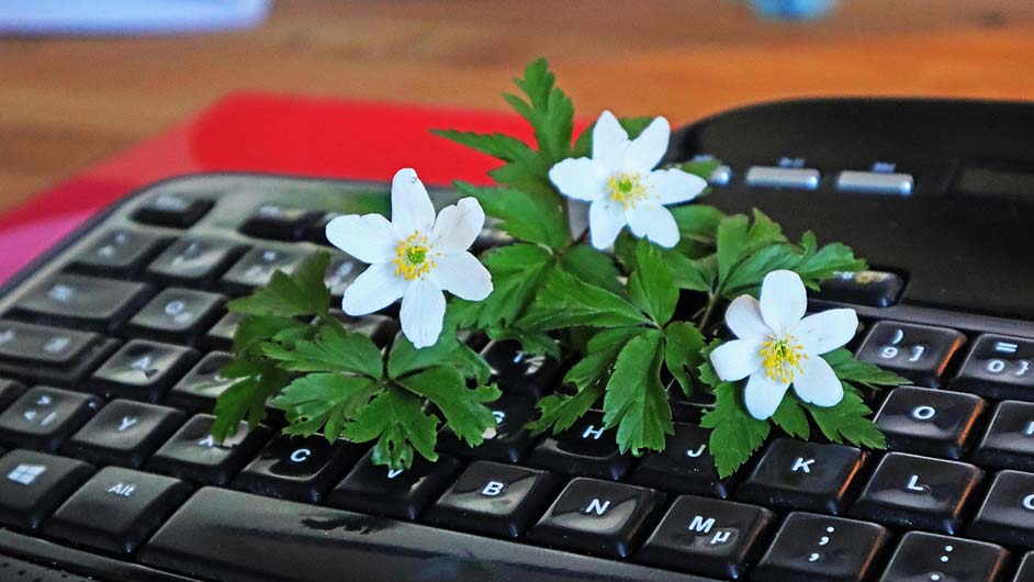 媒介简历怎么写