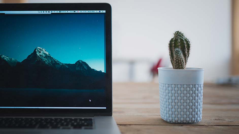 英语简历怎么写